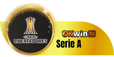 Copa Libertadores Nam Mỹ